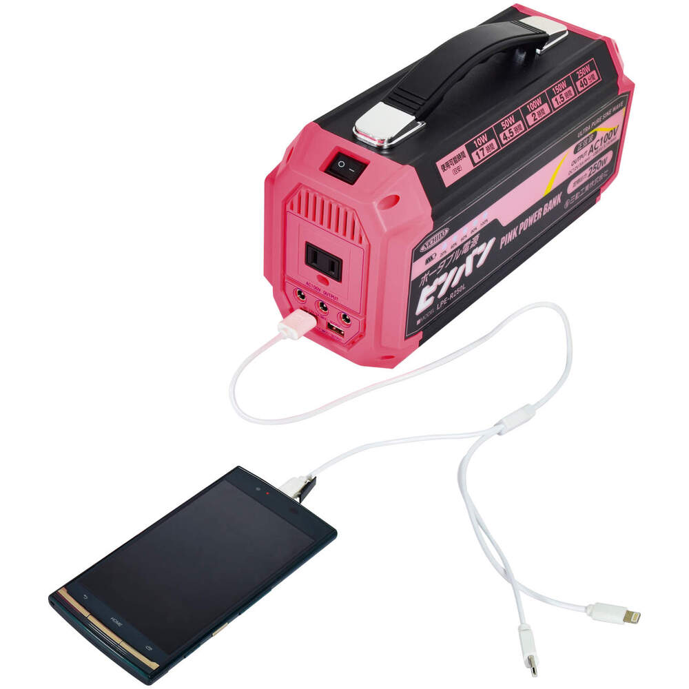NICHIDOポータブル電源　LPE-1000L 未使用品 日動工業株式会社｜ポータブル電源 パワーバンク1000